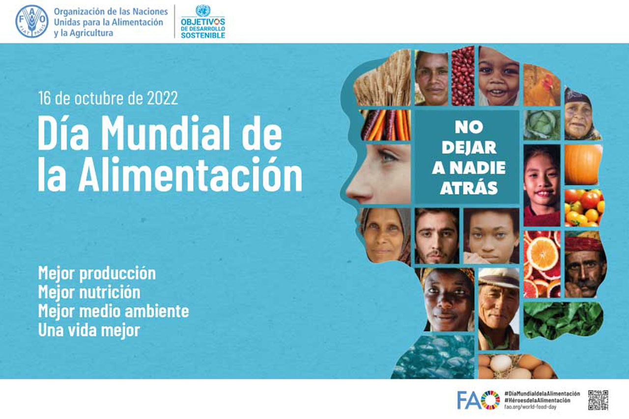 Celebra El Día Mundial De La Alimentación 2022 2022 - ROCHINA